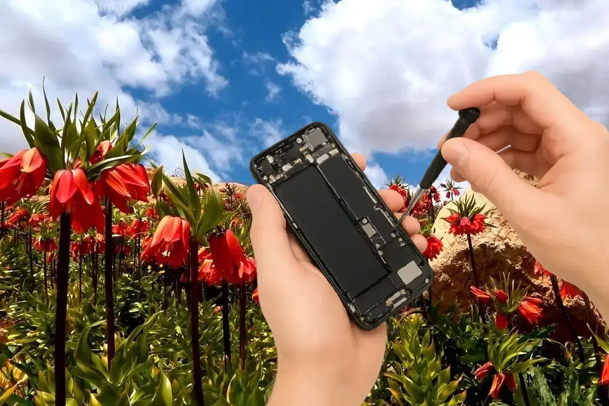 دشت لاله کوهرنگ چهارمحال و بختیاری